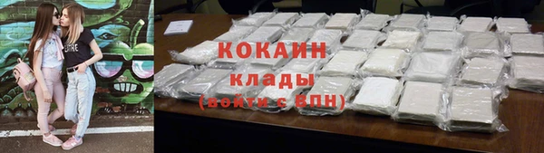 молекула духа Сосновка