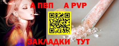 кокс Гатчина