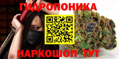 прущие грибы Гай