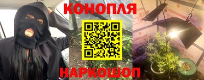 кокс Гатчина