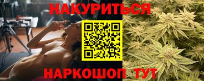 кокс Гатчина
