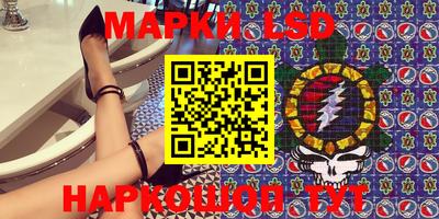 кокс Гатчина