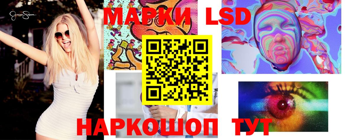 Псилоцибиновые грибы Волхов
