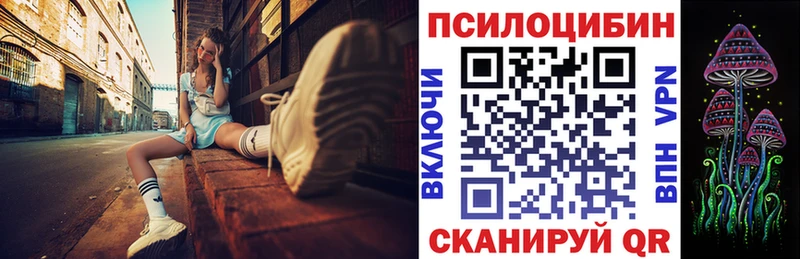 Псилоцибиновые грибы мицелий Волхов